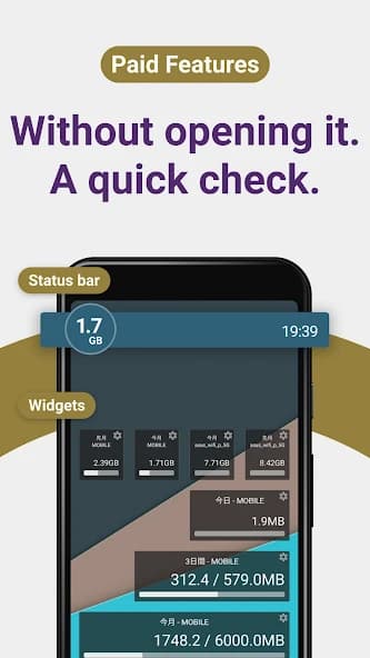 Data Usage Analyzer 1.18.2162