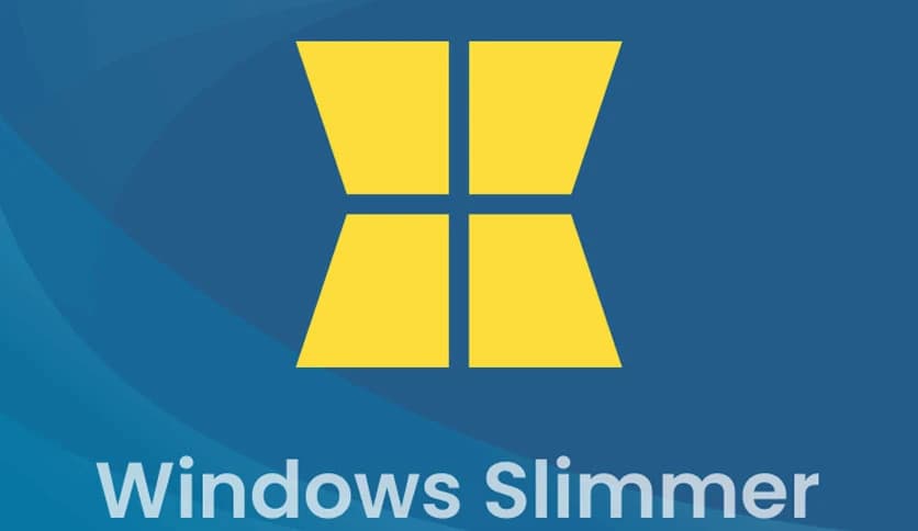 Auslogics Windows Slimmer Professional 5.1.0.1