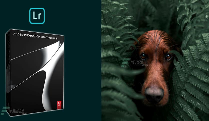 Adobe Photoshop Lightroom 6.5.0