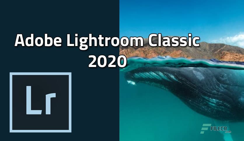 Adobe Lightroom Classic 15.1.1