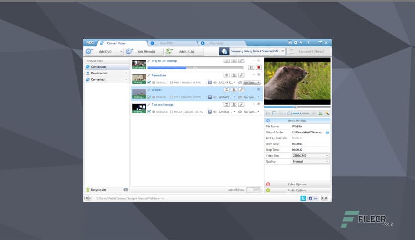 Any DVD Converter Professional 6.3.8