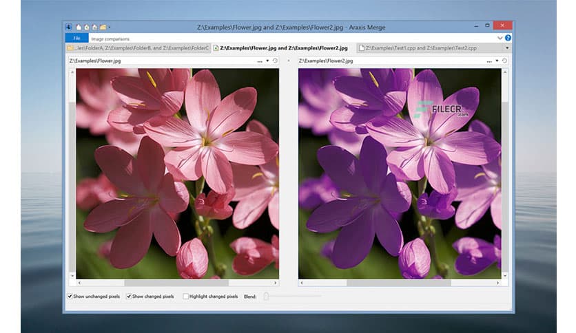Araxis Merge Professional Edition 2025.1