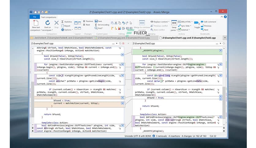 Araxis Merge Professional Edition 2025.1