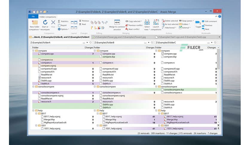 Araxis Merge Professional Edition 2025.1