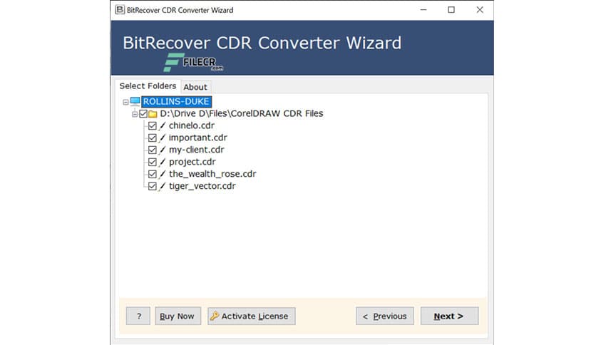 BitRecover CDR Converter Wizard 26.1