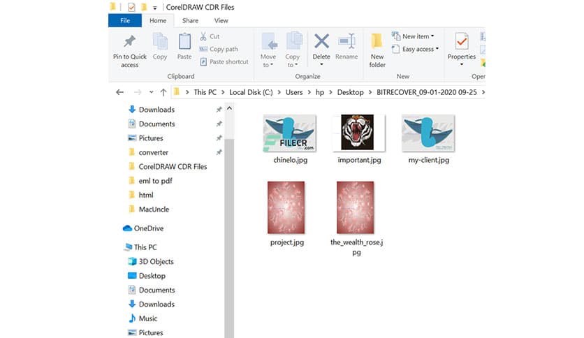 BitRecover CDR Converter Wizard 26.1
