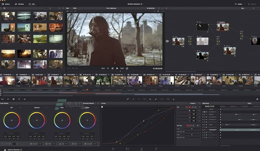 DaVinci Resolve Studio 20.3.1