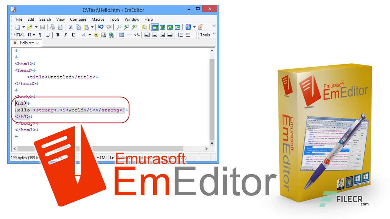Emurasoft EmEditor Professional 26.0.1