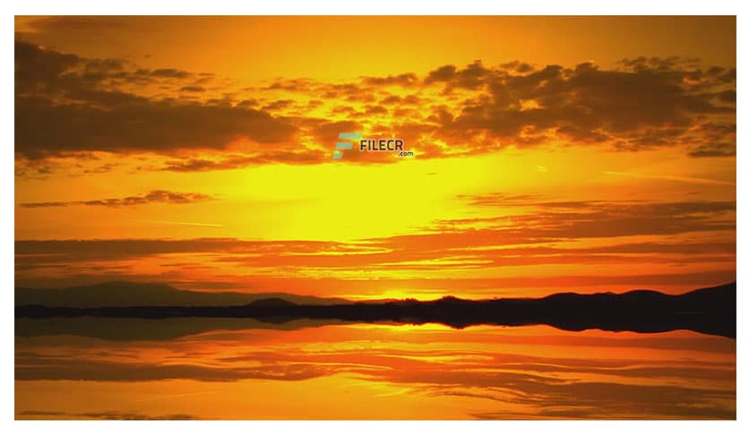 PUSH Video Wallpaper / Video Screensaver 4.63