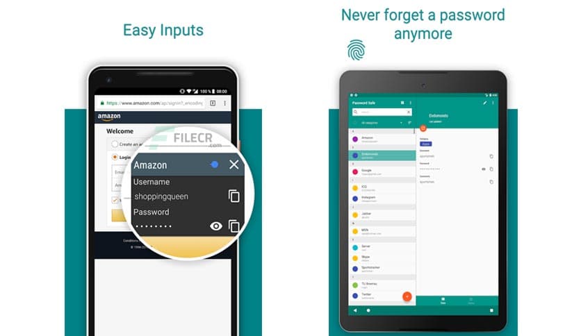 Password Safe and Manager 9.0.9 build 900040