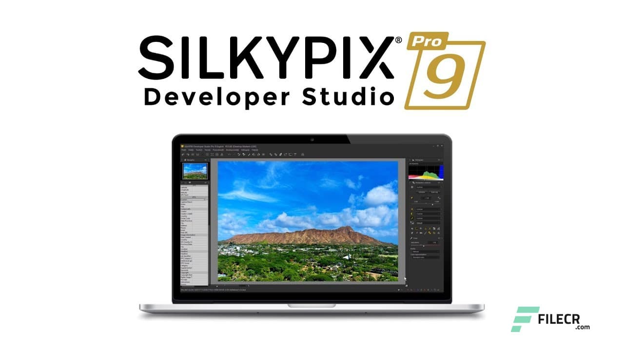 SILKYPIX Developer Studio Pro 11.0.17.0