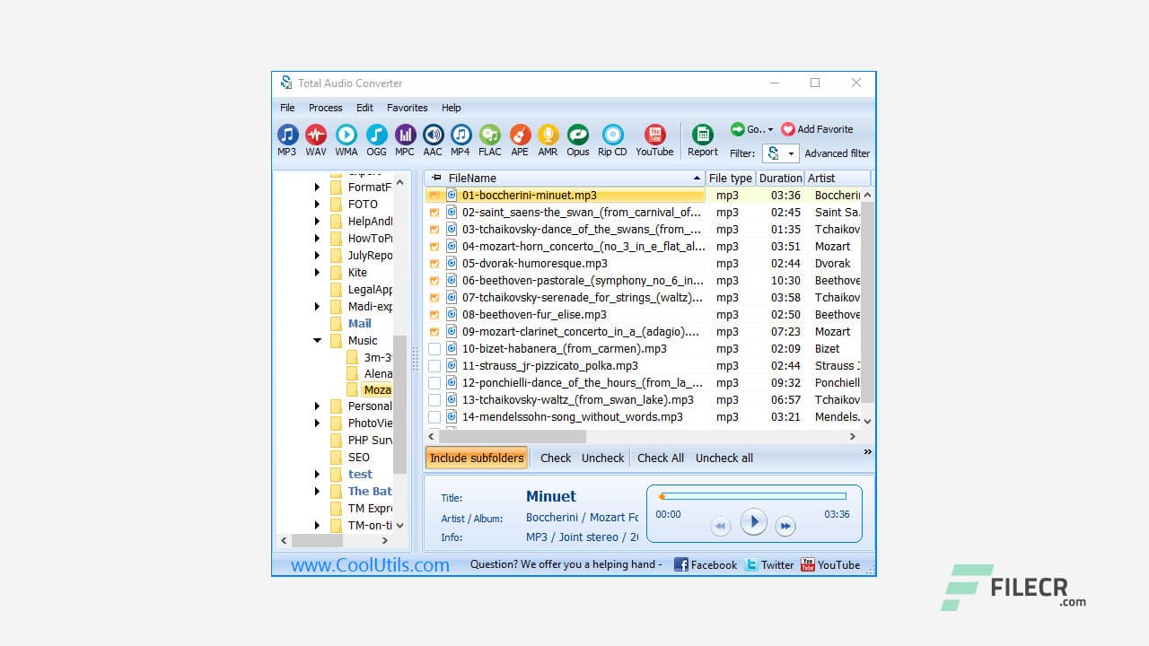 CoolUtils Total Audio Converter 6.1.0.287