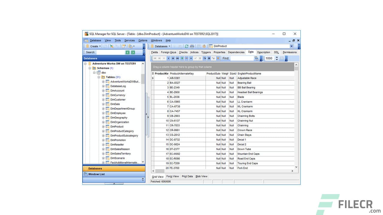 EMS SQL Manager for SQL Server 5.0.1 Build 51843