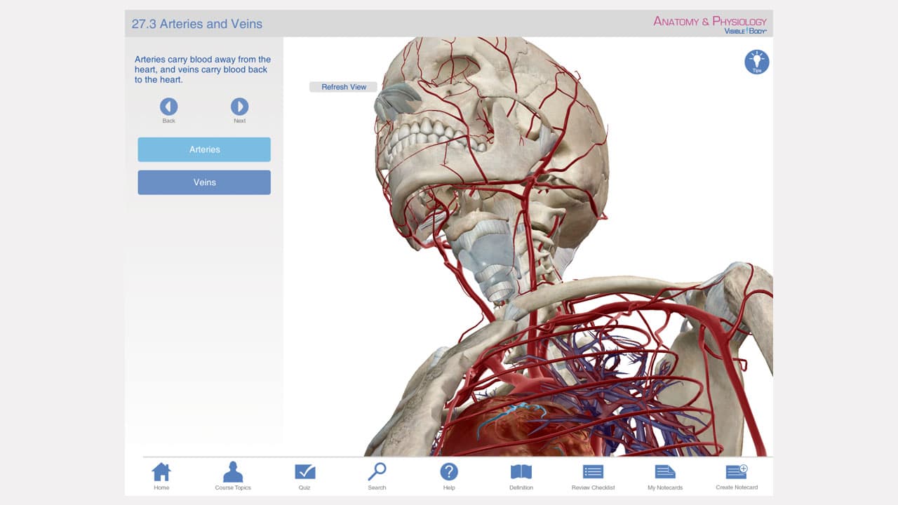 Visible Body Anatomy and Physiology 1.5.04
