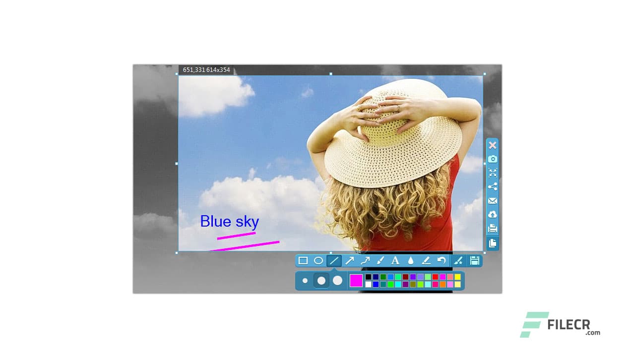 Apowersoft Screen Capture Pro 1.5.5.0