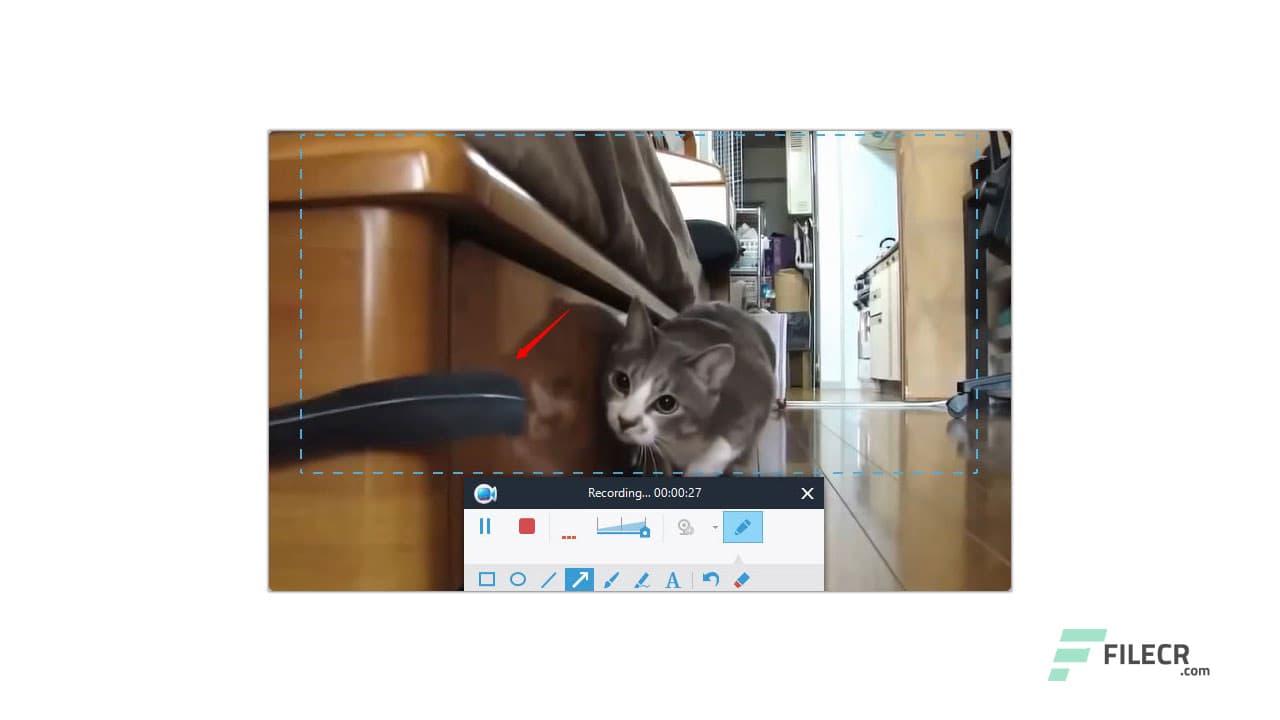 Apowersoft Screen Recorder Pro 2.5.1.1