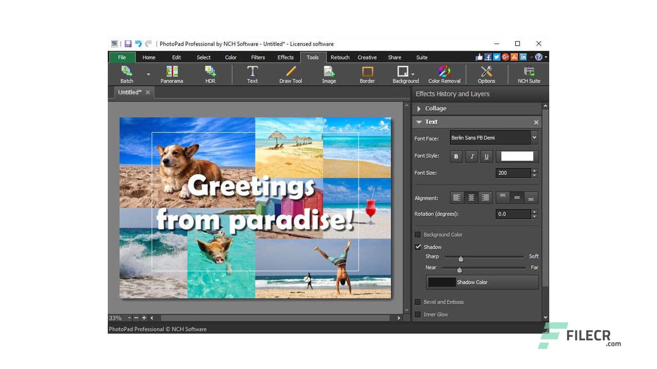 NCH PhotoPad Professional 15.00