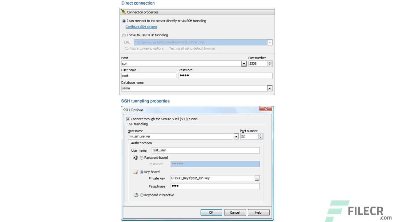 PHP Generator for MySQL Professional 22.8.0.22