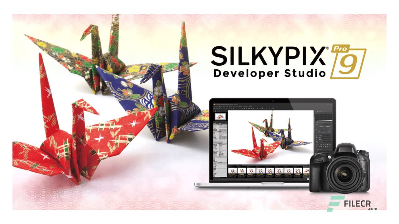 SILKYPIX Developer Studio Pro 11.0.17.0