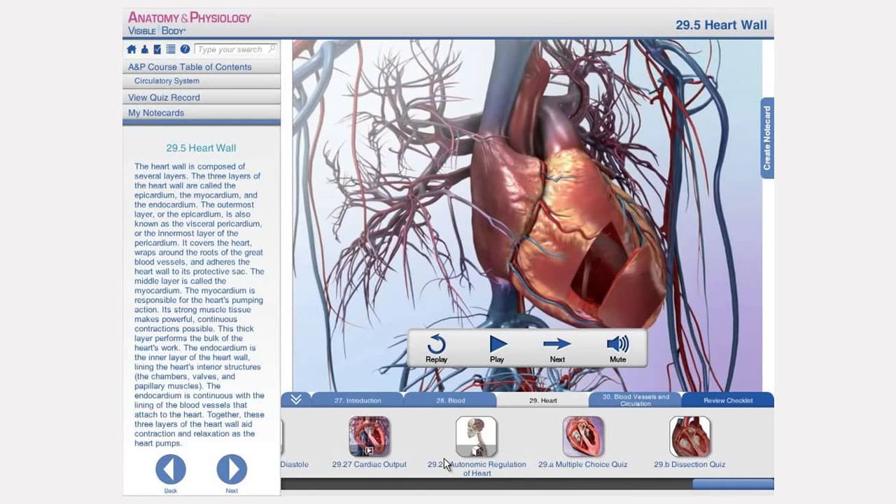 Visible Body Anatomy and Physiology 1.5.04