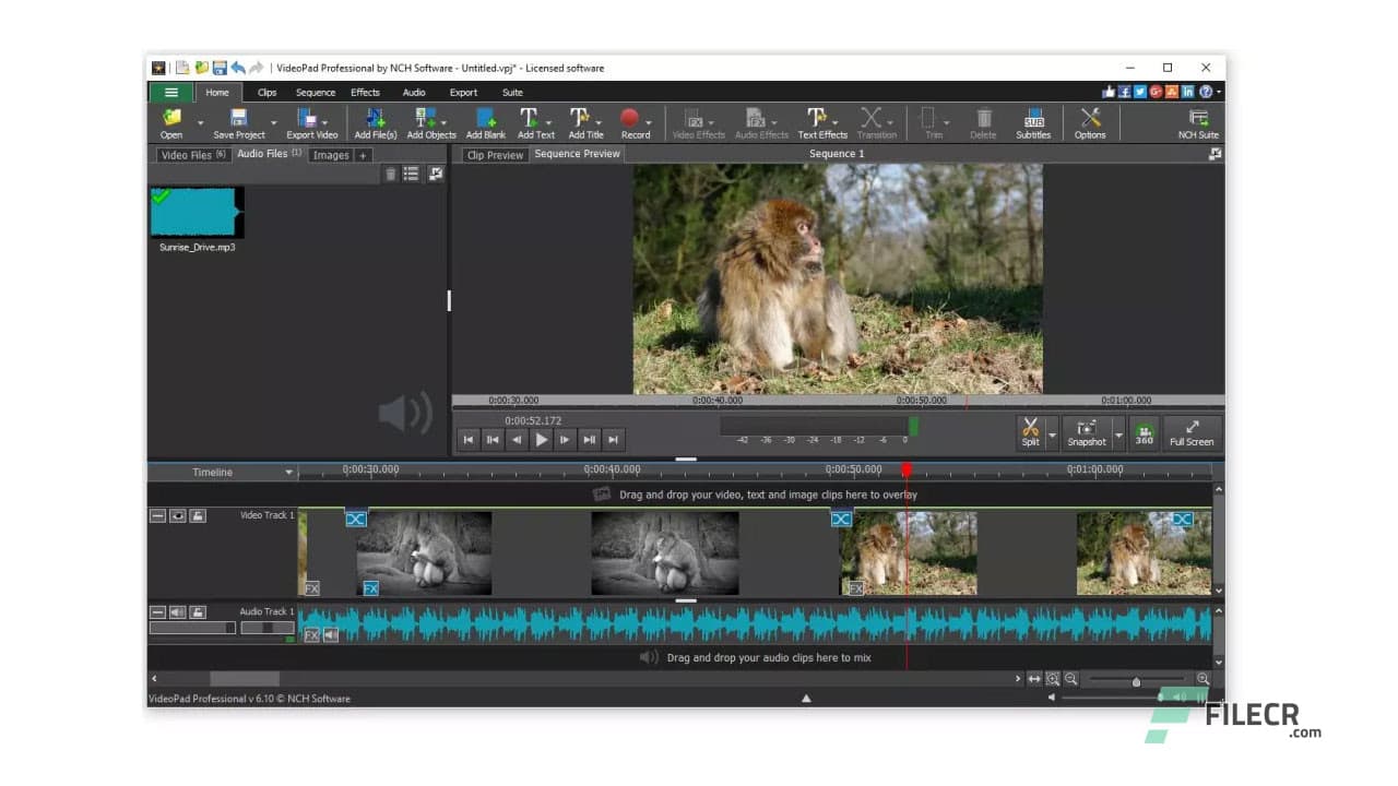 NCH VideoPad Pro 18.06