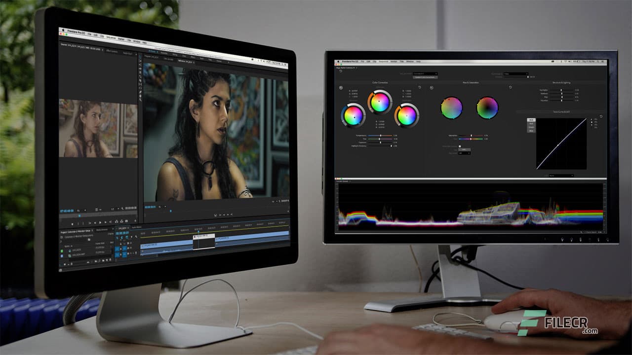 Red Giant Magic Bullet Suite 2025.0