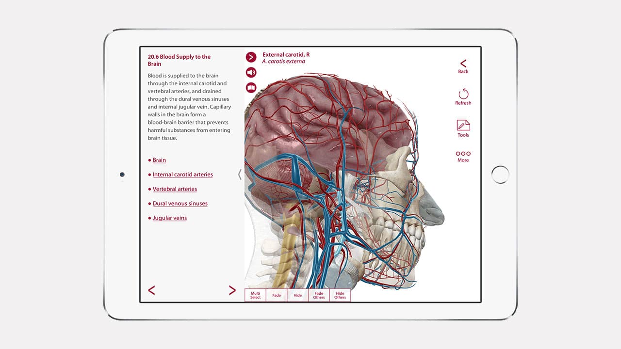 Visible Body Anatomy and Physiology 1.5.04