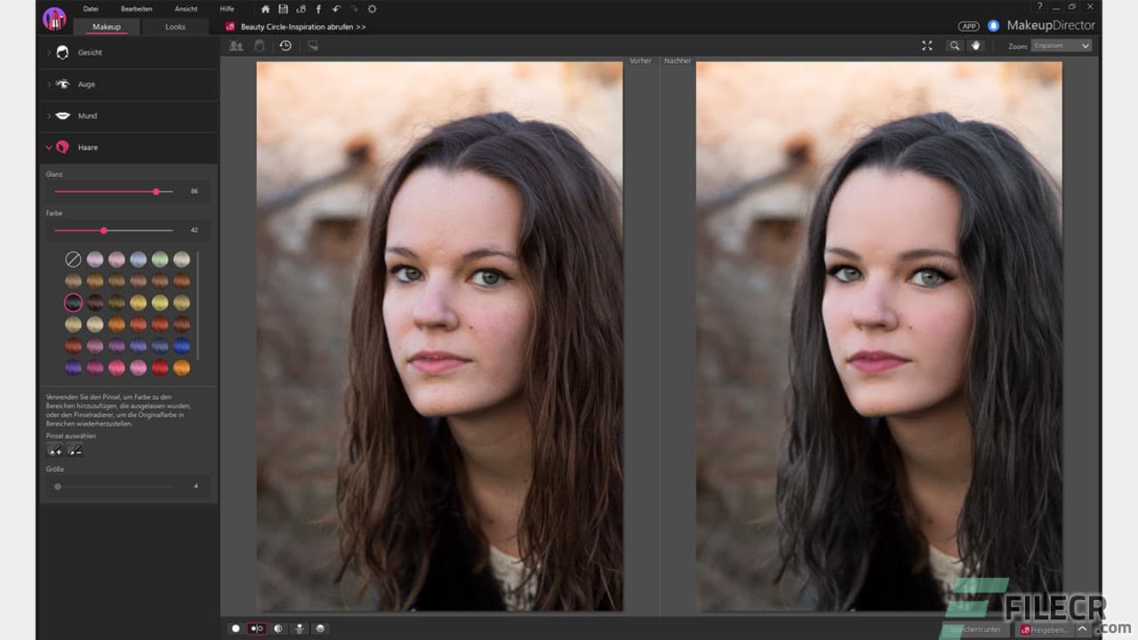 CyberLink MakeupDirector Ultra 2.0.2817