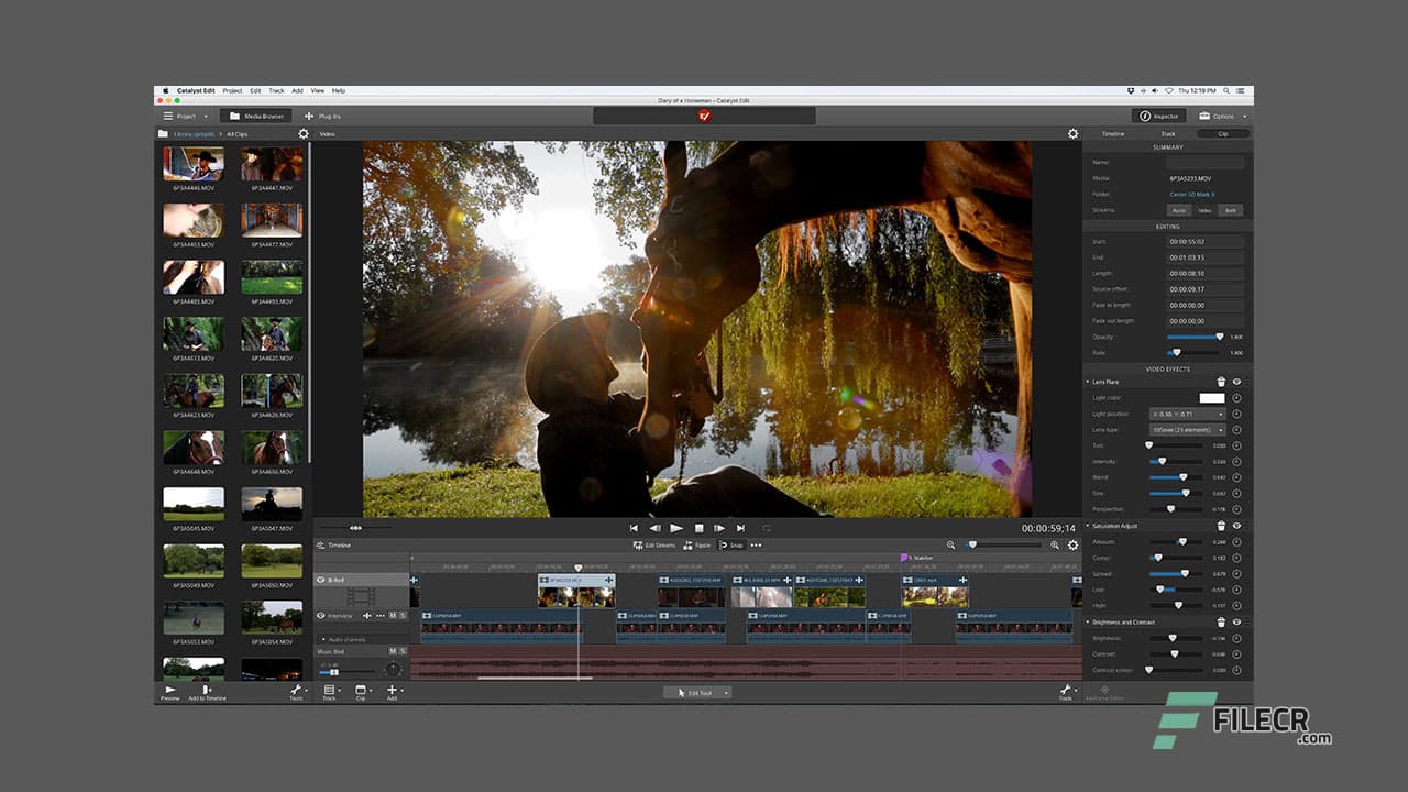 Sony Catalyst Production Suite 2025.3