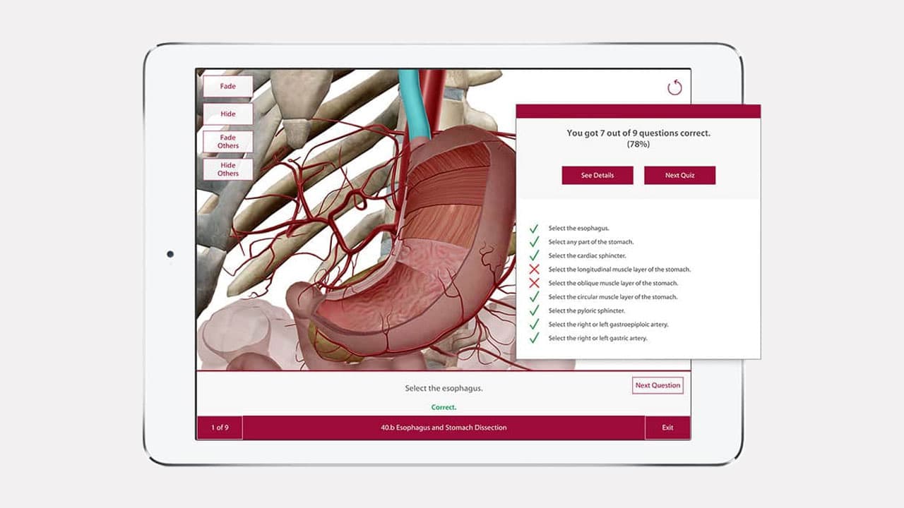 Visible Body Anatomy and Physiology 1.5.04