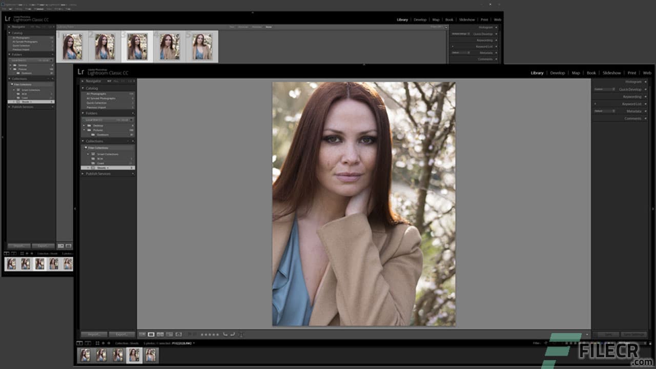 Adobe Lightroom Classic 15.1.1