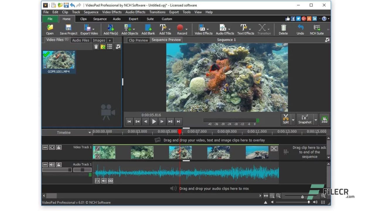 NCH VideoPad Pro 18.06