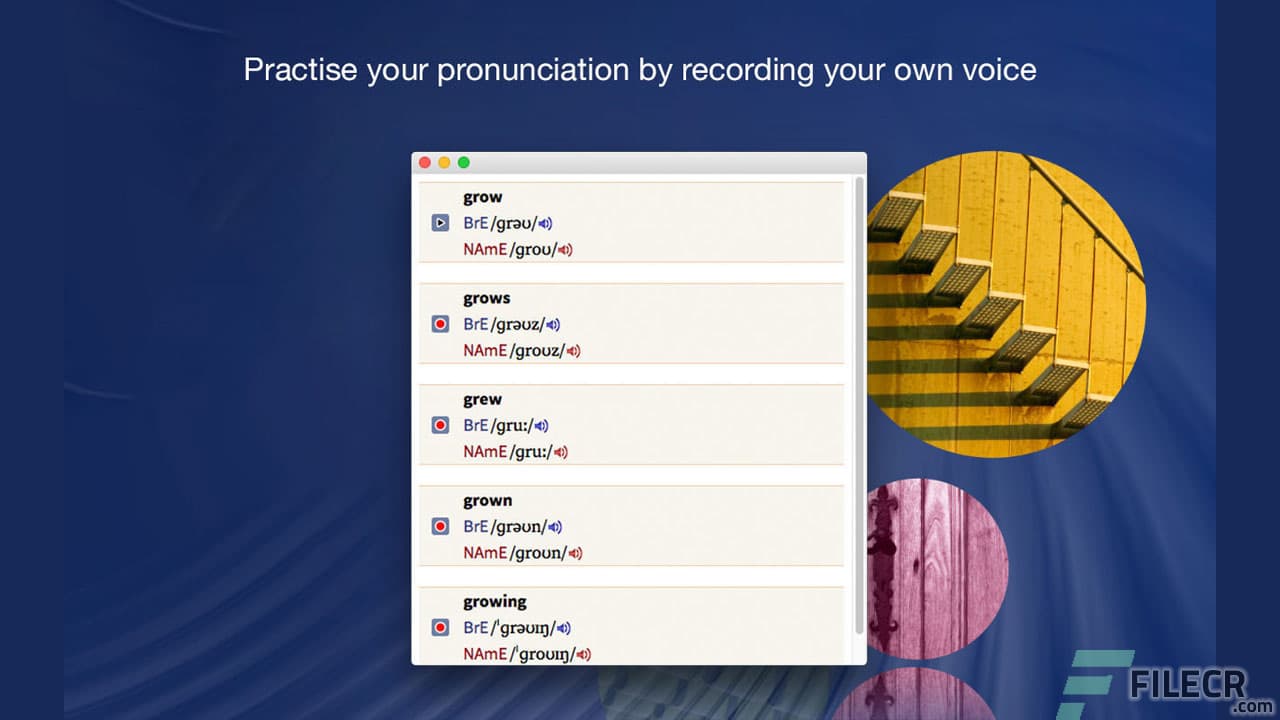 Oxford Advanced Learner’s Dictionary 1.1.2.19