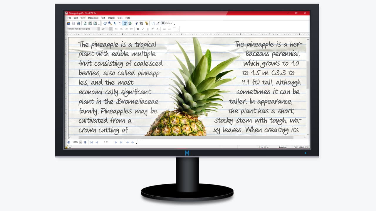 SoftMaker FlexiPDF Pro 2025.416.1204