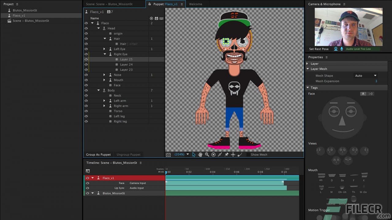 Adobe Character Animator 2025 v25.0