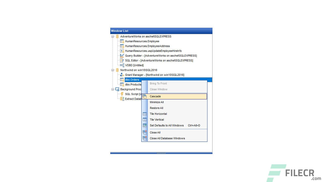 EMS SQL Manager for SQL Server 5.0.1 Build 51843