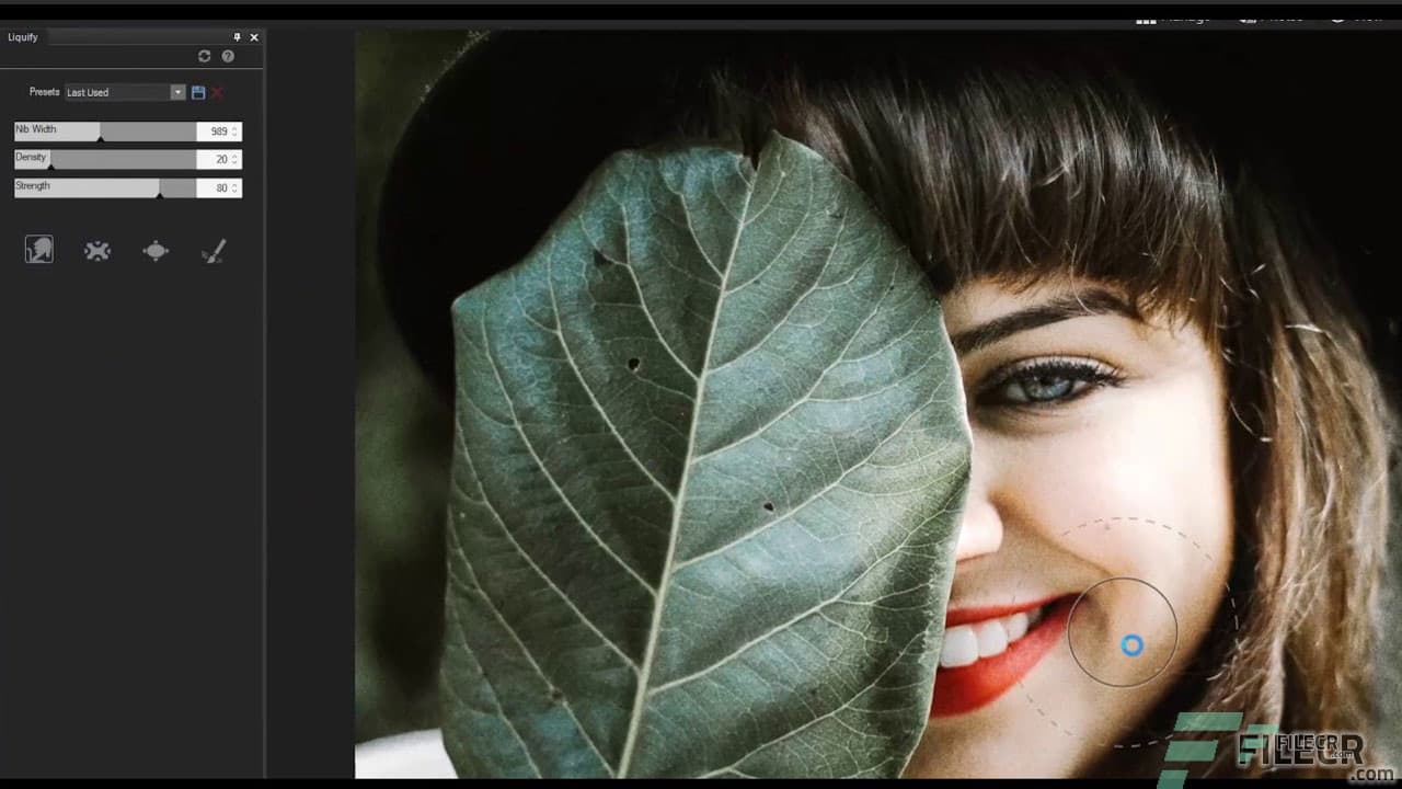 ACDSee Photo Studio Professional 2026 v19.0.1.3450