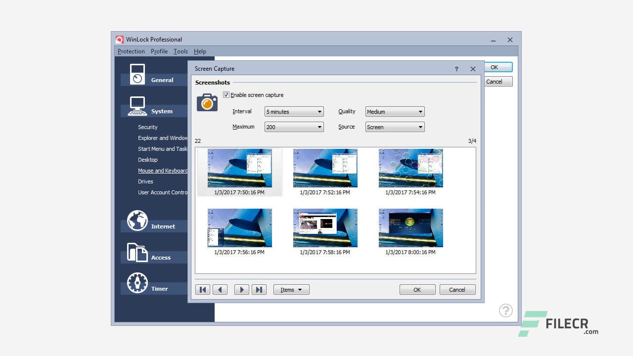 WinLock Professional 8.47