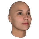 FaceGen Artist Pro 3.12