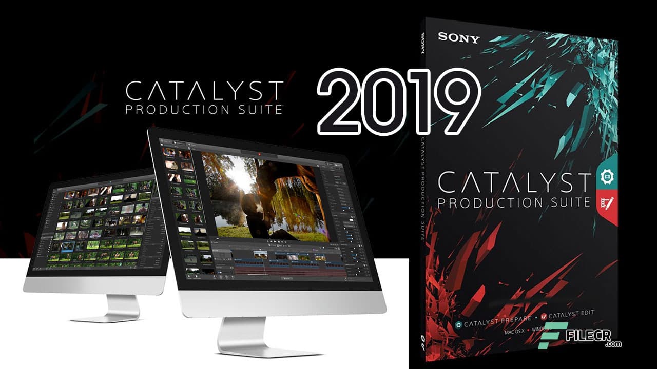 Sony Catalyst Production Suite 2025.3