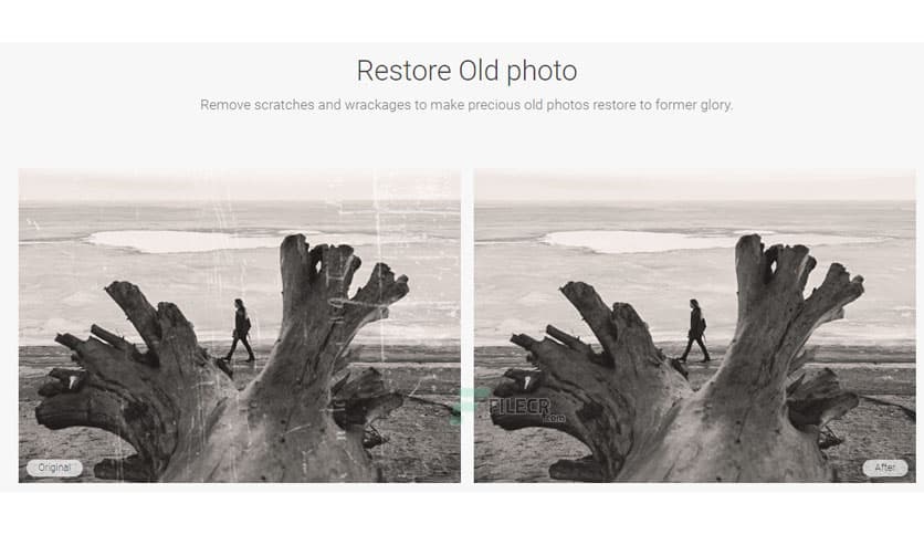 Wondershare Fotophire Photo Eraser 7.4.6716.18656
