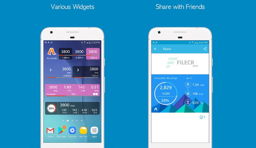 Accupedo Pedometer 9.3.3