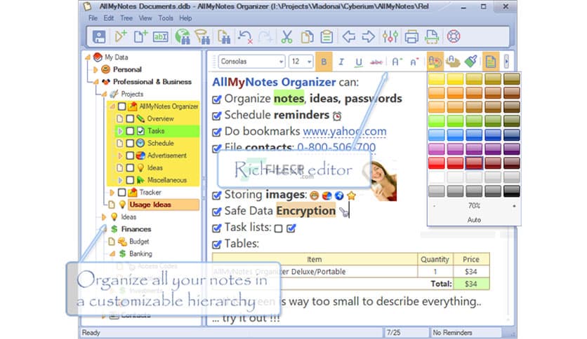 AllMyNotes Organizer Deluxe 4.12.1285