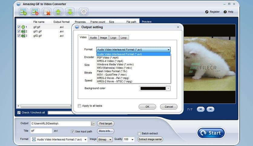 Amazing GIF to Video Converter 2.4.0.0