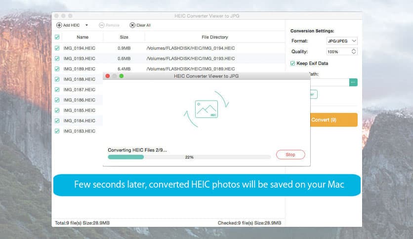 Any HEIC Converter-HEIC to JPG 1.0.29