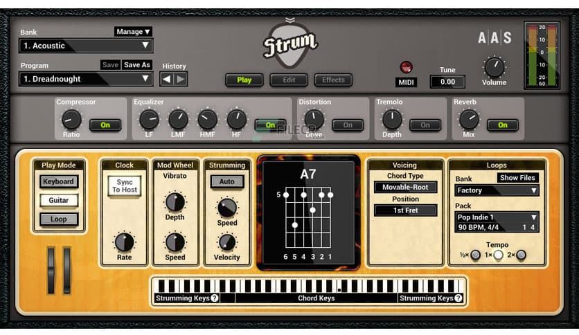 Applied Acoustics Systems Strum GS 2.4.4