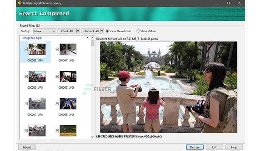 ArtPlus Digital Photo Recovery 7.3.9.230