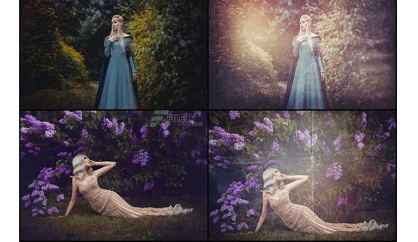 Avanquest 5000+ Massive Photo Overlays Bundle 1.0.0