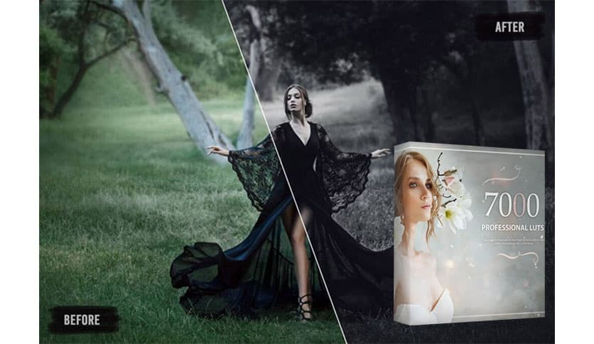 Avanquest 7000+ Professional LUTs 1.0.0