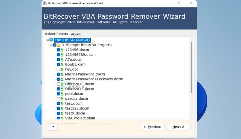 BitRecover VBA Password Remover Wizard 3.1